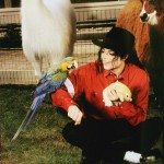 Michael’s Fans Help Animals