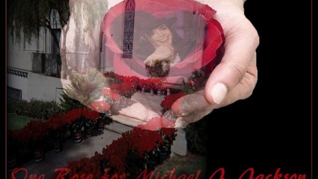 Rose-Badge1