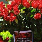 One Rose For Michael