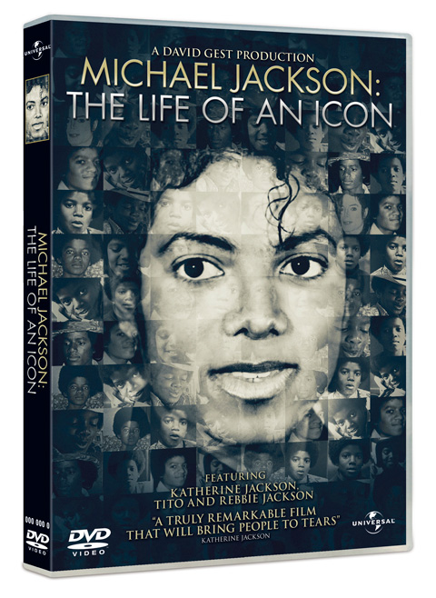 life-of-an-icon-big