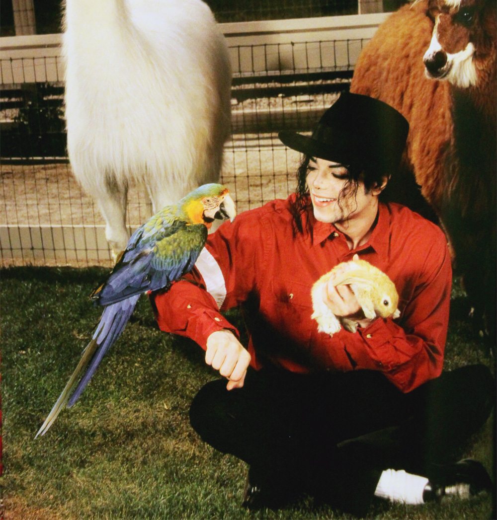 Michael’s Fans Help Animals