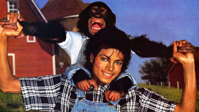 Michael’s Love For Animals