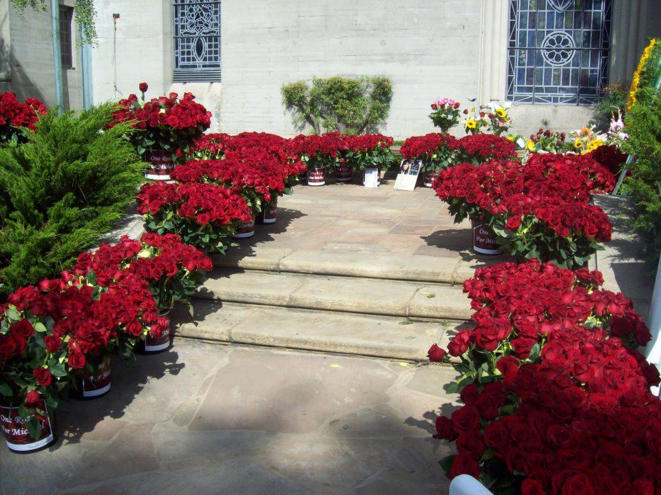 ‘Thrilling’ Red Roses For Michael!